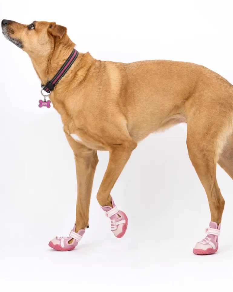 The Kai - Protective Footwear for Dogs in Black or Pink
