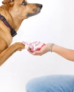 The Kai - Protective Footwear for Dogs in Black or Pink