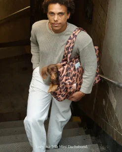 The Little Beast Dog Carrier in Cougar
