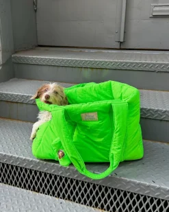 The Little Beast Dog Carrier in Jackpot