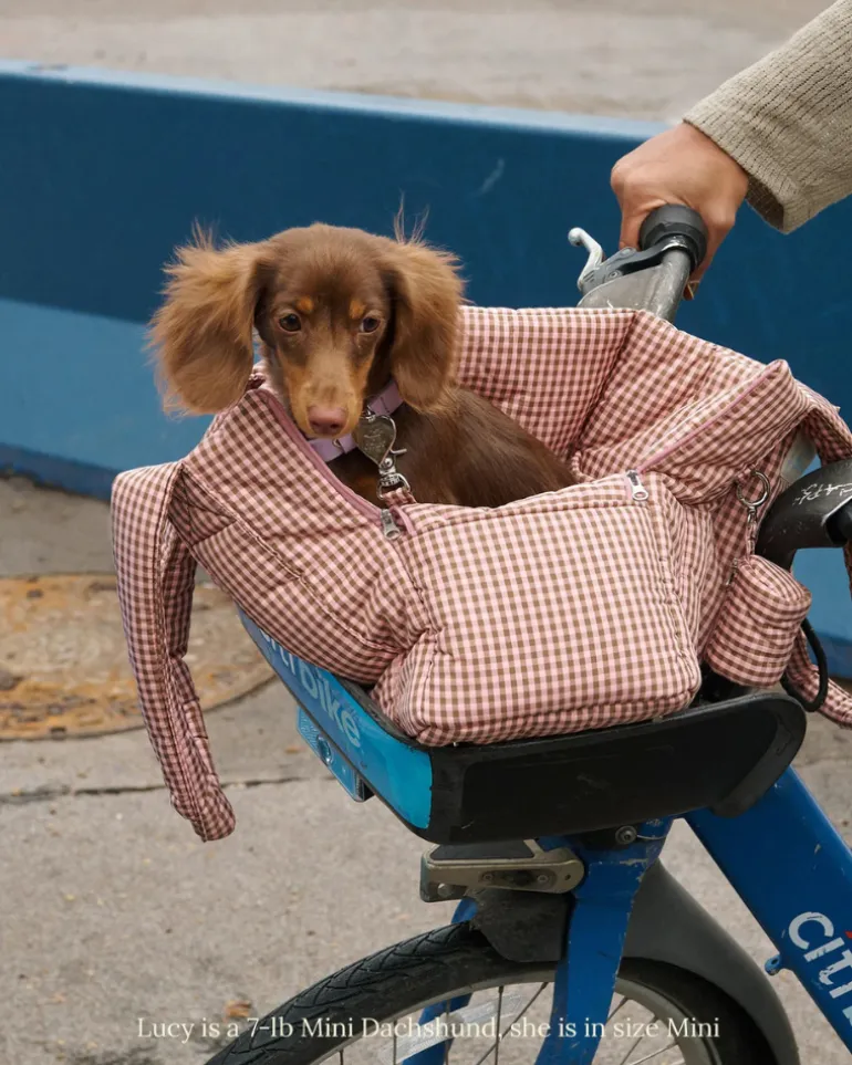 The Little Beast Dog Carrier in RiRi