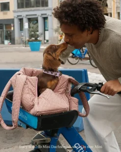 The Little Beast Dog Carrier in RiRi