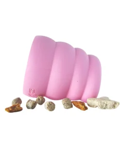 The Oinker Treat Puzzle Dog Toy