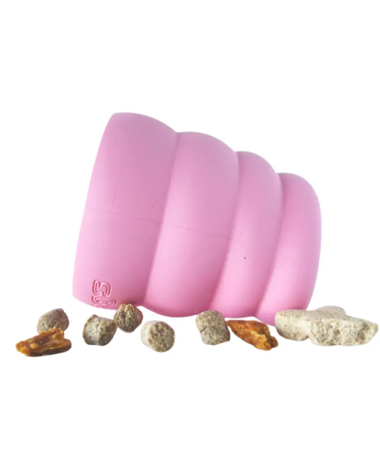 The Oinker Treat Puzzle Dog Toy