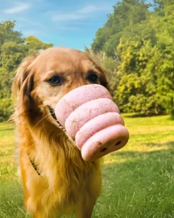 The Oinker Treat Puzzle Dog Toy