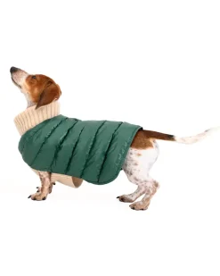 The Puffer Dog Sweater in Tan & Green