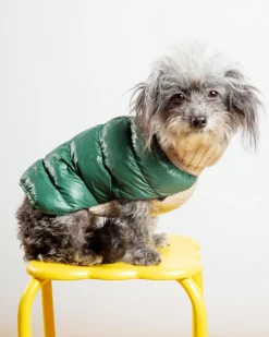The Puffer Dog Sweater in Tan & Green