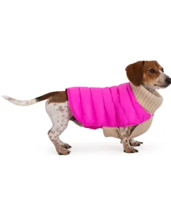 The Puffer Dog Sweater in Tan & Pink