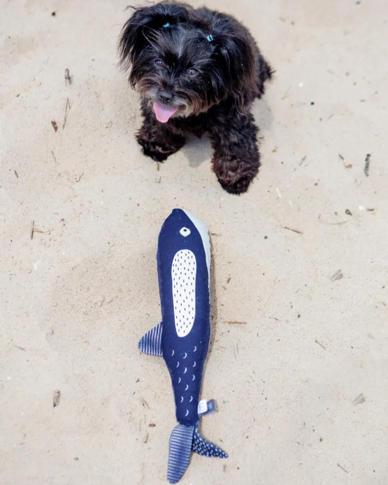 There She Blows Canvas Whale Dog Toy