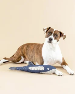 There She Blows Canvas Whale Dog Toy