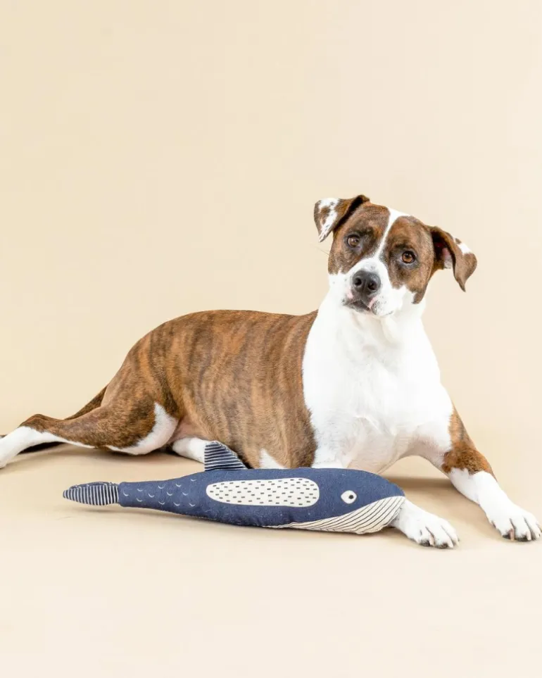 There She Blows Canvas Whale Dog Toy