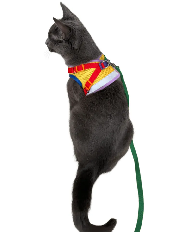"The True Adventurer" Reflective Cat & Kitten Harness and Leash in Multicolor