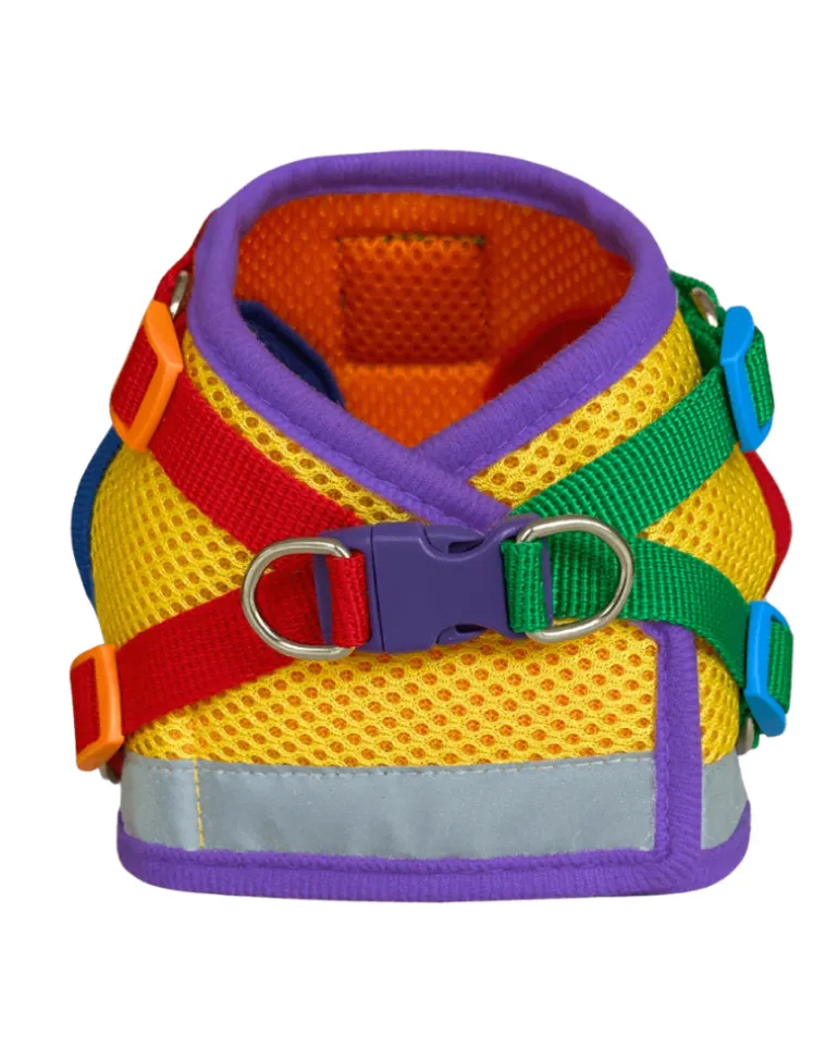 "The True Adventurer" Reflective Cat & Kitten Harness and Leash in Multicolor