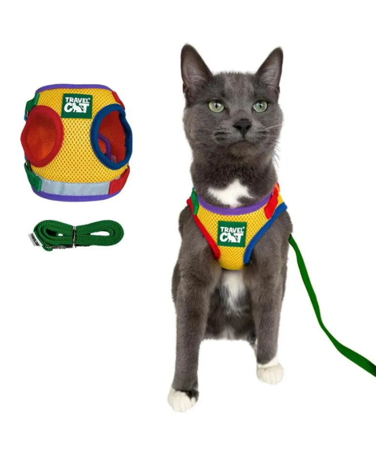 "The True Adventurer" Reflective Cat & Kitten Harness and Leash in Multicolor