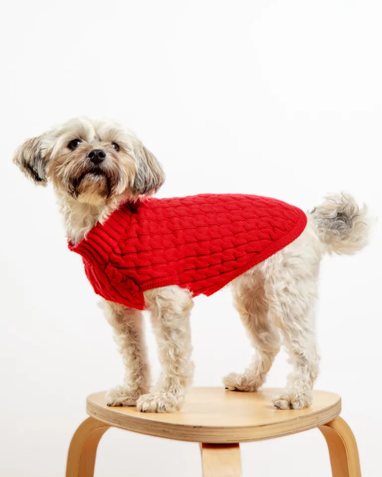 The Uptown Cable Knit Sweater in Red Cotton (Made in NYC)