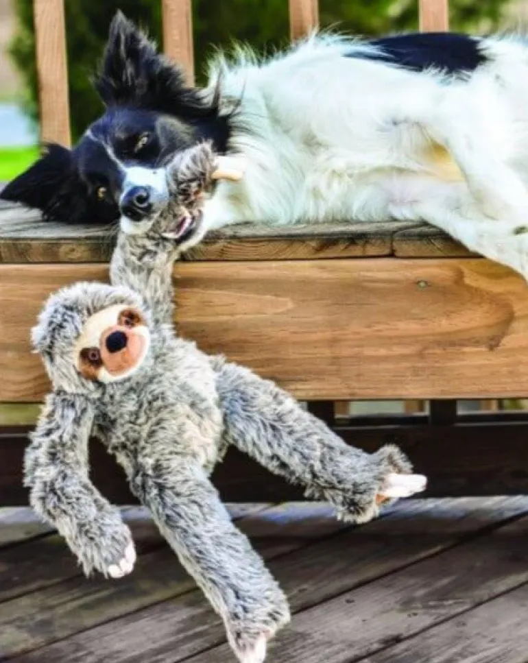 Tico the Sloth Squeaky Plush Dog Toy