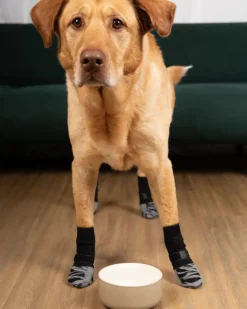TigerToes Non-Slip Dog Socks