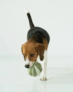Toto Silent Interactive Snuffle Ball