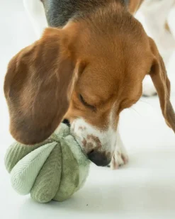 Toto Silent Interactive Snuffle Ball