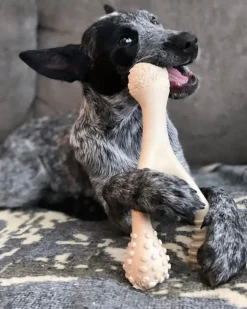 TOUGH All Natural Eco-Friendly Dog Chew Toy (Beef Flavor - Hard)