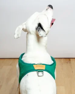 Town Slip-On Dog Harness