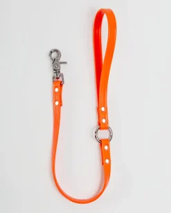 Traffic Leash in Neon Orange - 2' (Made in the USA)