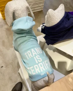 *Trans is Terrific* Graphic Dog Hoodie (Proceeds Benefit the ACLU)