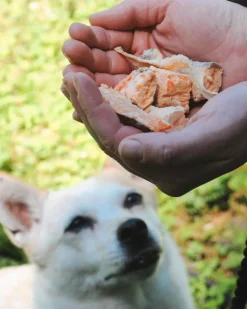 Trout Tidbits Dog Treats