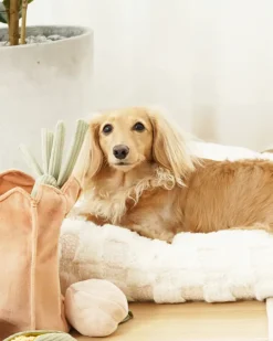 Turnip Squeaky Plush Toy for Dogs