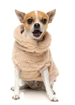 Turtle Teddy Dog Fleece in Desert Tan