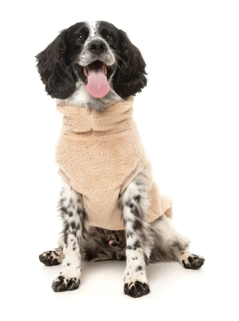 Turtle Teddy Dog Fleece in Desert Tan