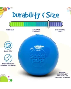 Ultra Durable Squeaker Ball Dog Toy (Made in the USA)