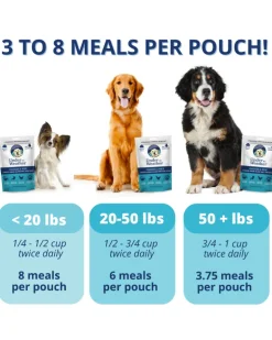 Under the Weather Bland Diet Dog Meal