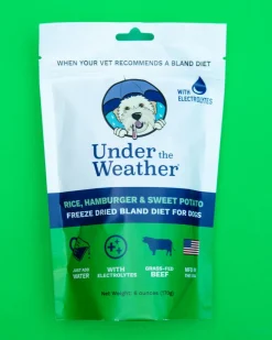 Under the Weather Bland Diet Dog Meal