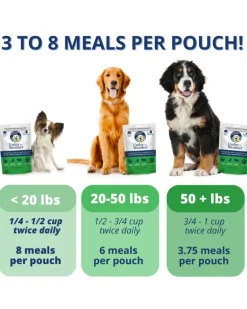 Under the Weather Bland Diet Dog Meal