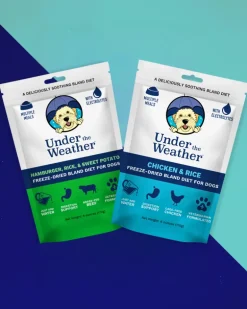 Under the Weather Bland Diet Dog Meal