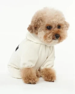 Velour Coverall Onesie for Dogs - Regular Fit (in Purple, Ivory, or Black) (FINAL SALE)