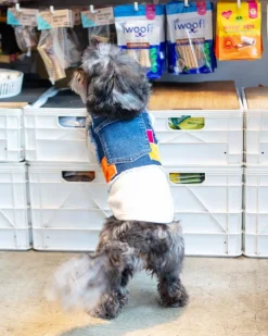 Velvet Denim Patchwork Dog Harness (Made in the USA) (Dog & Co. Exclusive)