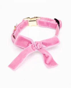 Velvet Dog Bow Collar Set in Petal Pink (Made in the USA)