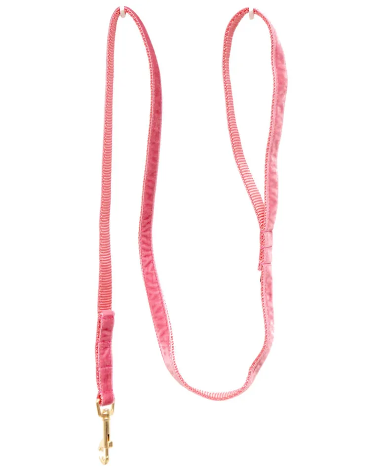 Velvet Dog Leash Primrose Pink (Made in the USA) (FINAL SALE