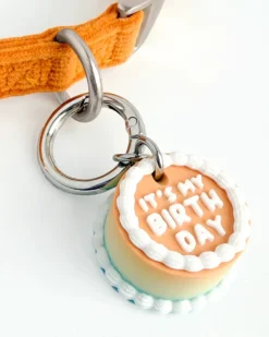 Vintage Birthday Cake Pet Tag