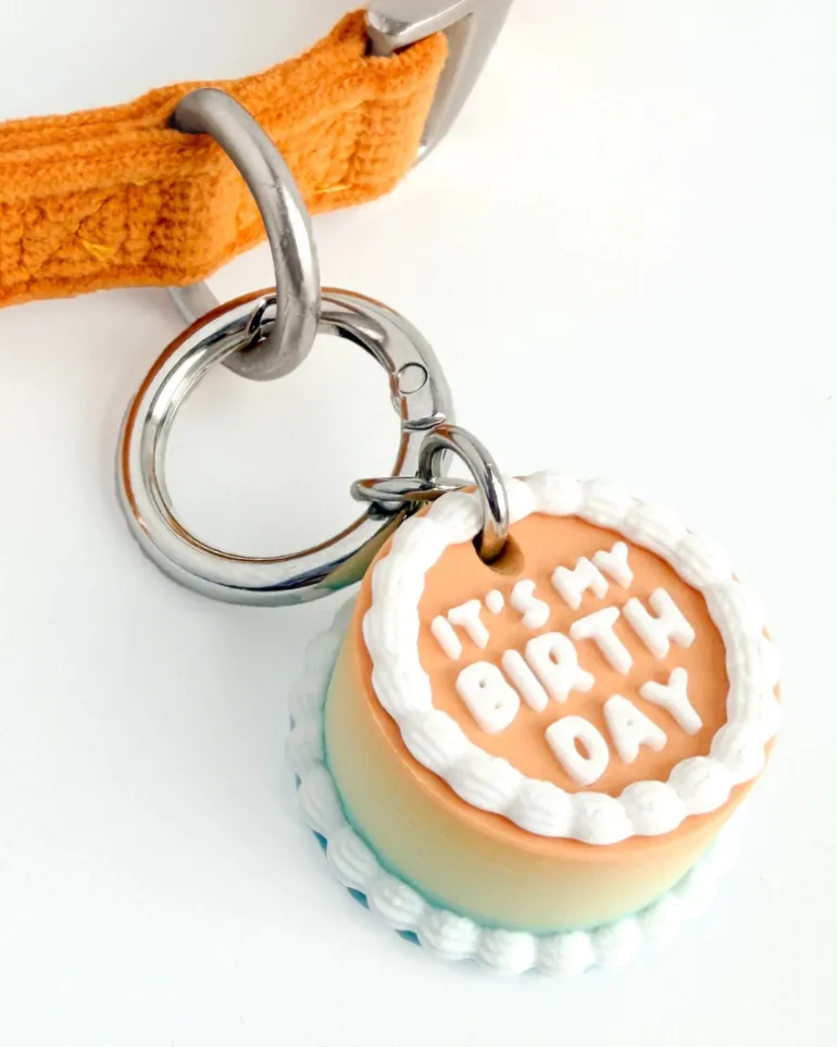 Vintage Birthday Cake Pet Tag