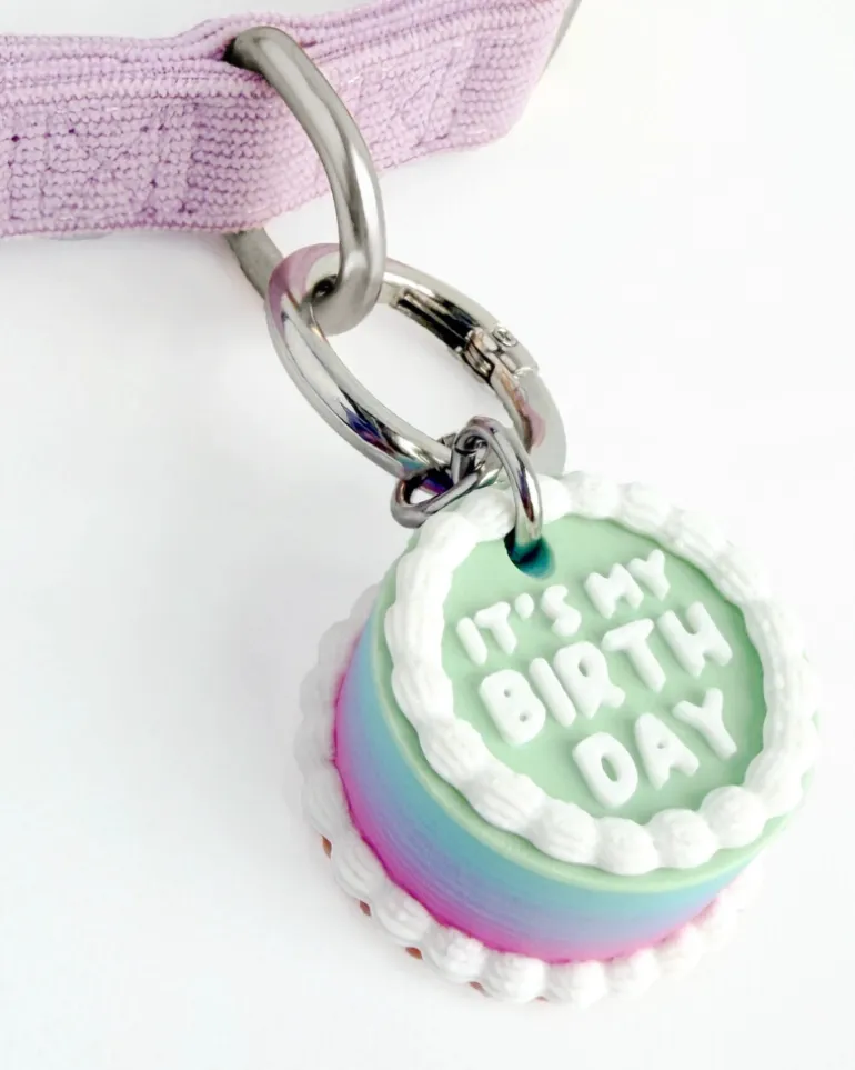 Vintage Birthday Cake Pet Tag