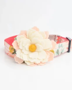 Water Lily Dog Collar Flower In Cream (Made in the USA)