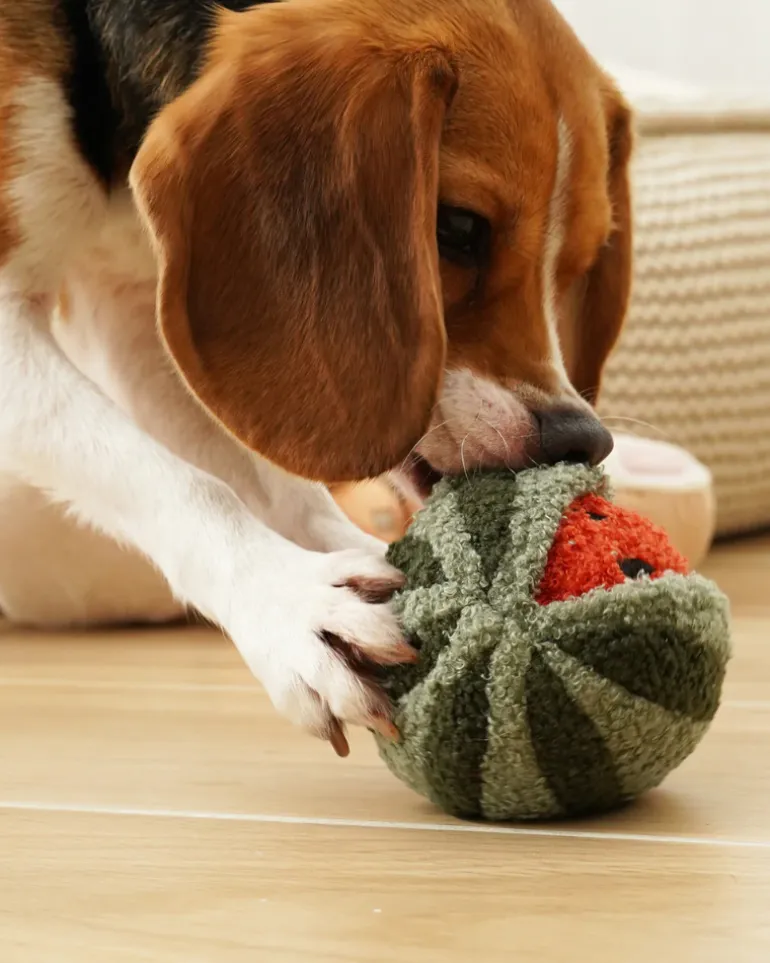 Watermelon Pop Snuffle Squeaky Plush Toy for Dogs