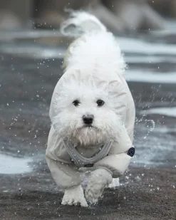 Waterproof Air Coverall for Dogs