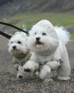 Waterproof Air Coverall for Dogs