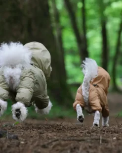 Waterproof Air Coverall for Dogs