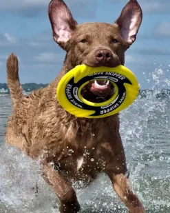 WaveSkipper Dog Toy