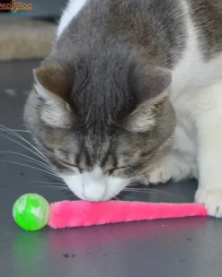 Wiggy Ball Cat Toy (Made in the USA)
